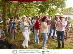 Festival Mar de Tethys 2026 - Bodega Vetas